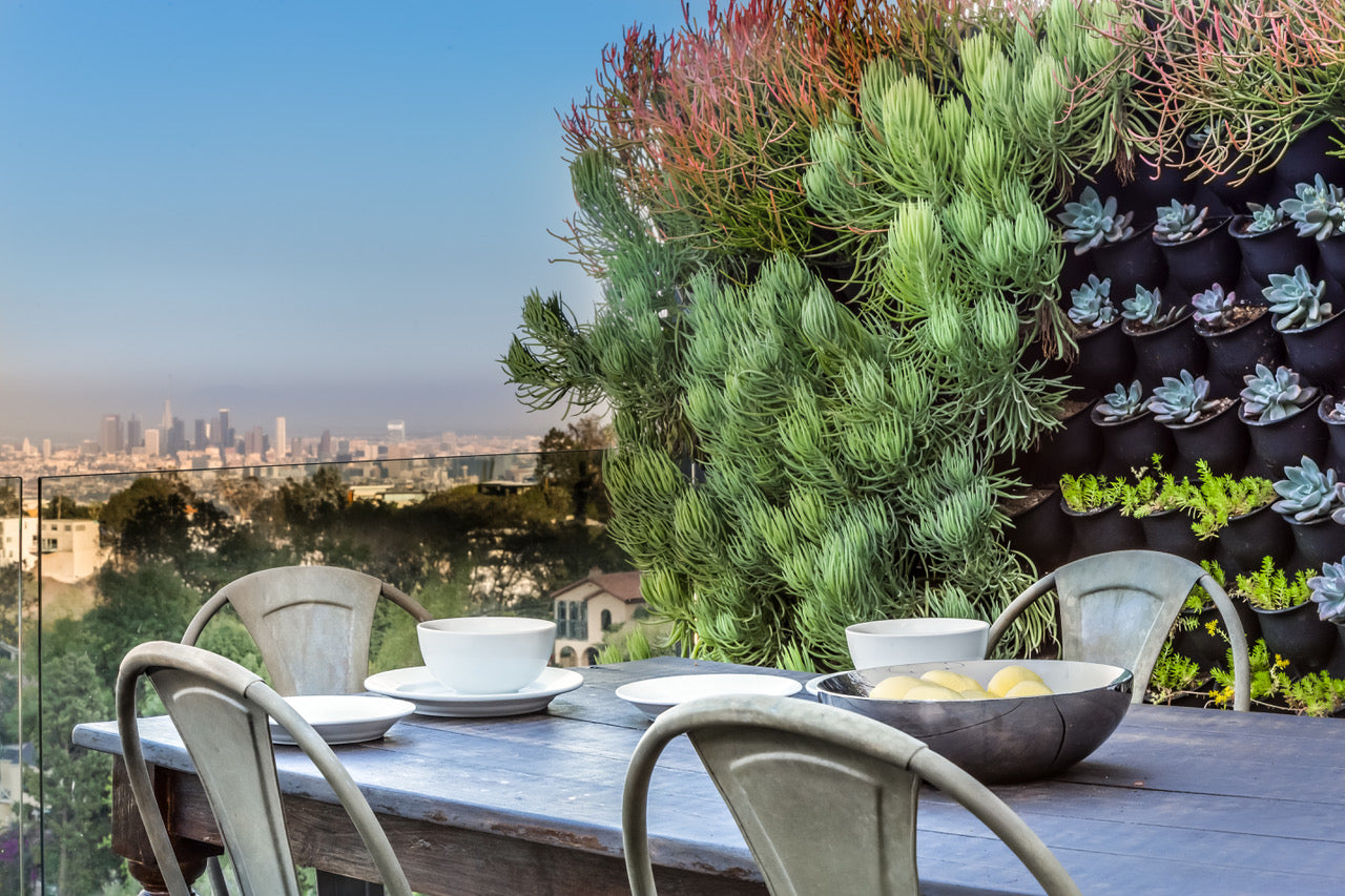 Laurel Canyon Los Angeles Vertical Garden by Greenwall Solutions using Green4Air vertical green wall garden system