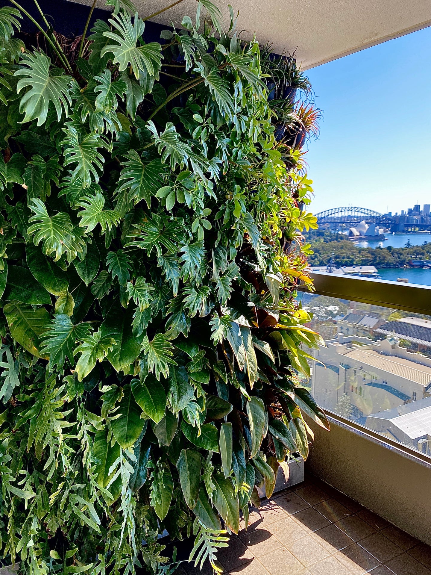 Vertical Garden by Greenwall Solutions using Green4Air vertical green wall system