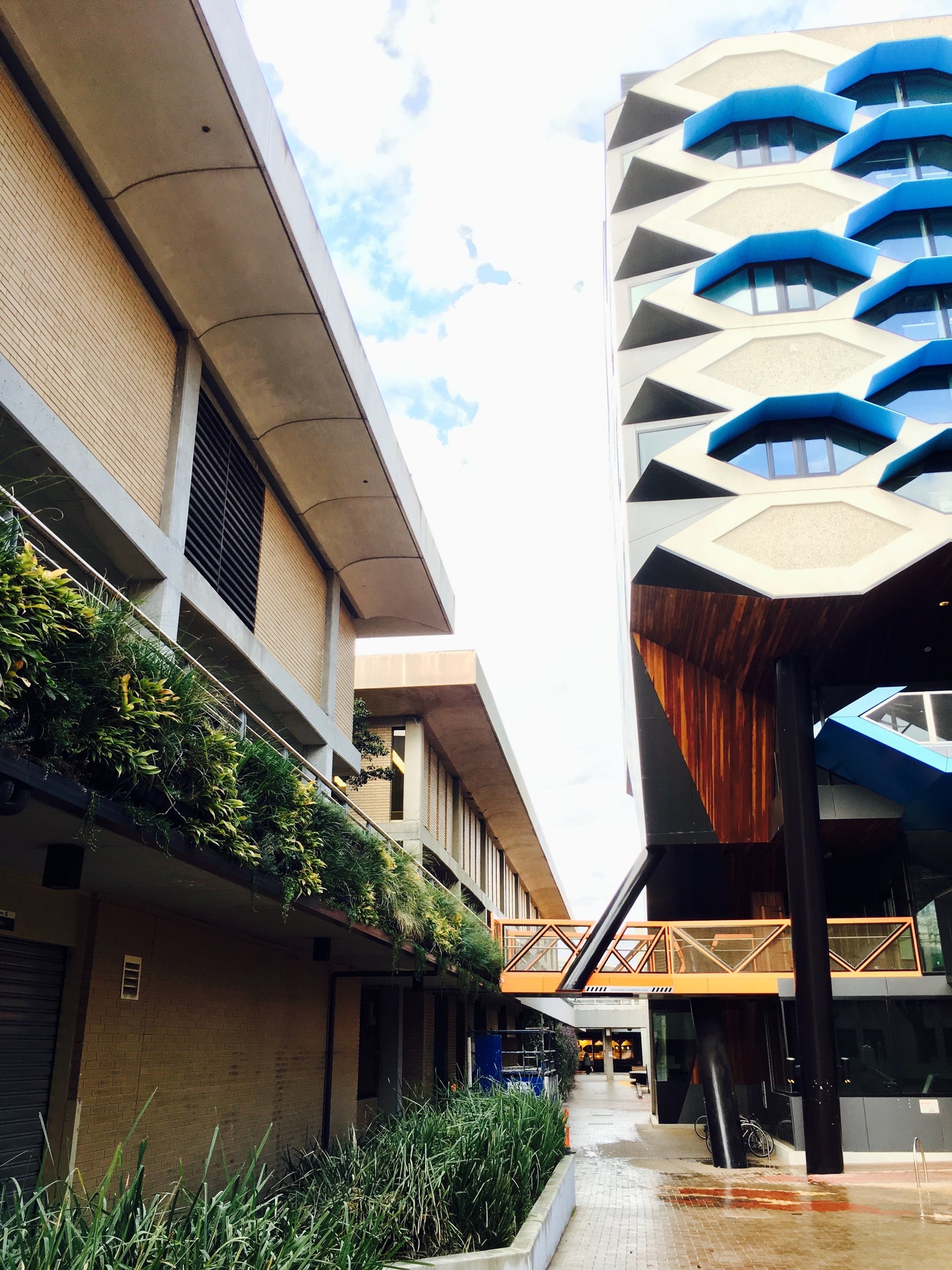 La Trobe University Melbourne Vertical Garden by Greenwall Solutions using Green4Air vertical green wall garden system