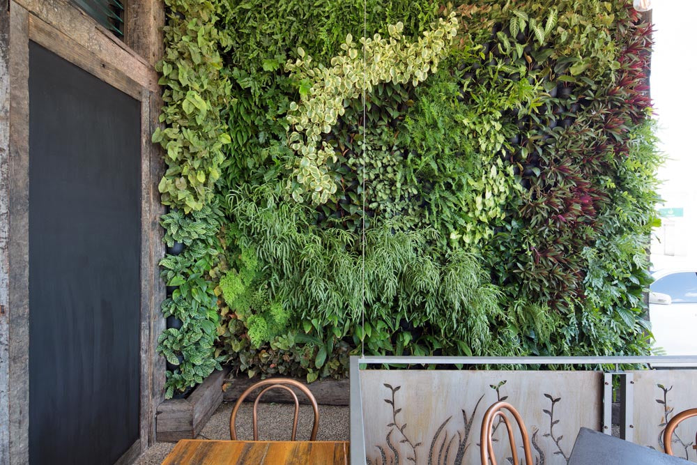 Vertical Garden by Greenwall Solutions using Green4Air vertical green wall system