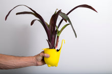 Load image into Gallery viewer, Green4Air vertical green wall garden kit. Buy wall garden.