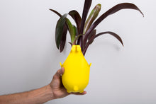 Load image into Gallery viewer, Green4Air vertical green wall garden kit. Buy wall garden.