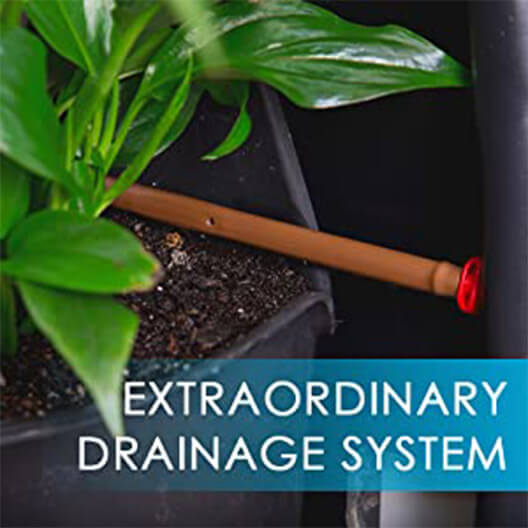 files-extraordinary_drainage_system-jpg