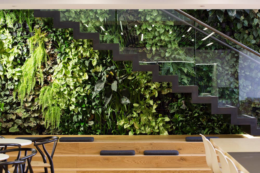 Commercial Vertical Green Walls By Greenwall Solutions