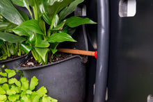 Load image into Gallery viewer, Green4Air vertical green wall garden kit. Buy wall garden.
