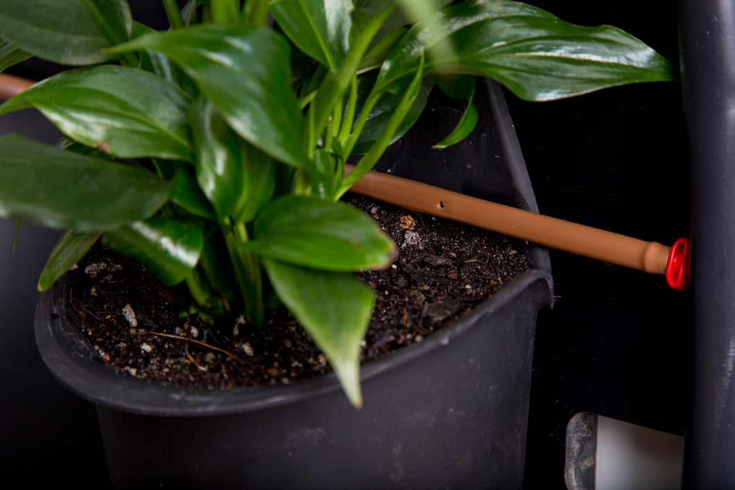 Green4Air vertical green wall garden kit. Buy wall garden.