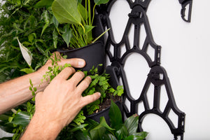 Green4Air Vertical Wall Garden 12 Pack Pod Plus Wall Bracket