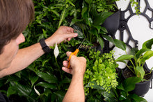 Load image into Gallery viewer, Green4Air Vertical Wall Garden 12 Pack Pod Plus Wall Bracket
