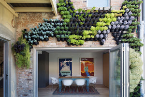 Green4Air vertical green wall garden kit. Buy wall garden.